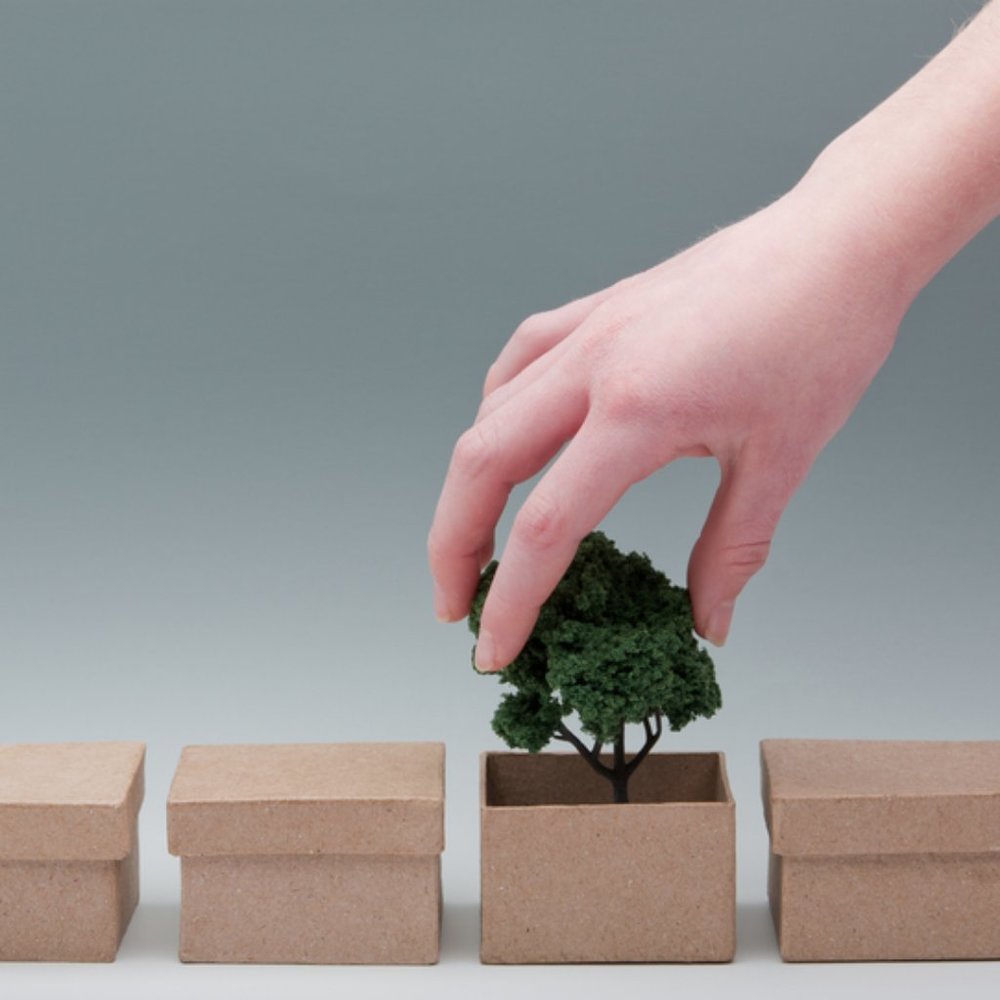 Minimal Ecologically Conscious Packaging